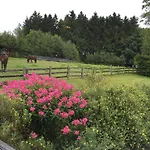 Bed and Breakfast La Lune D'or Redu