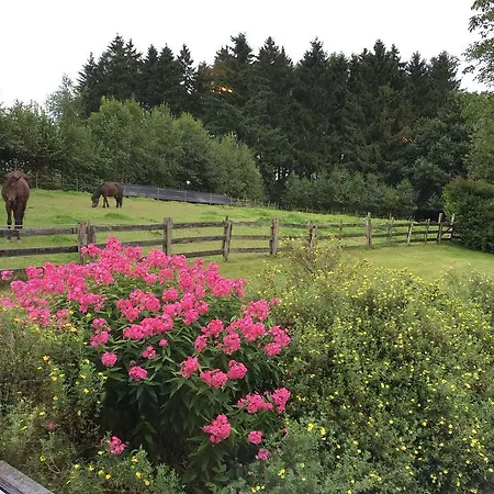 Couette-café La Lune D'or Redu