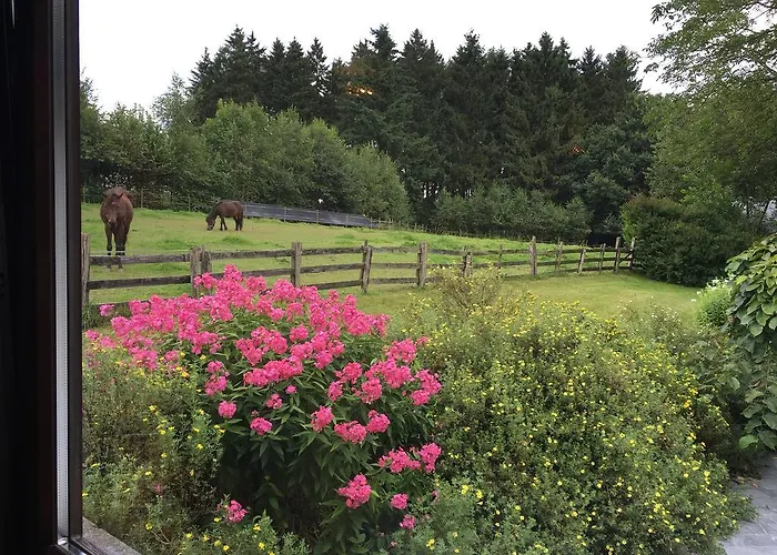 Alojamento de Acomodação e Pequeno-almoço La Lune D'or Redu